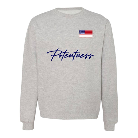 All American Potentness Sweater - Grey / Navy